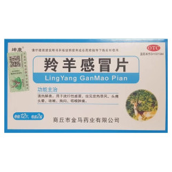 Ling Yang Gan Mao Pian – Apoyo Natural contra el Resfriado y la Fiebre
