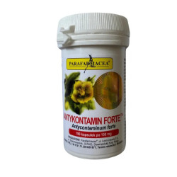 Antykontamin Forte – Apoyo para el Sistema Digestivo y la Desintoxicación Natural